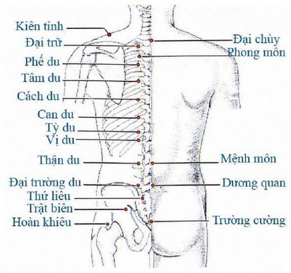 108 huyệt đạo trên cơ thể vùng eo lưng mông