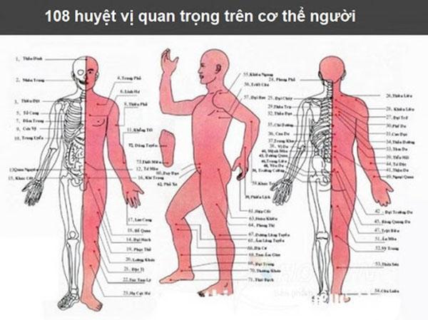 Huyệt đạo phần ngực, bụng được đặt ở những vị trí nào trên cơ thể?
