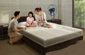 Tuyệt chiêu chống nóng mùa hè với quạt hơi nước