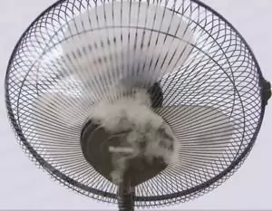 quạt hơi nước Misushita MS-010