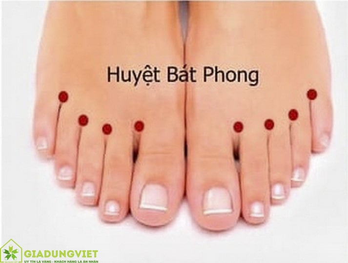 Huyet Dao Ban Chan Huyet Bat Phong Min 2