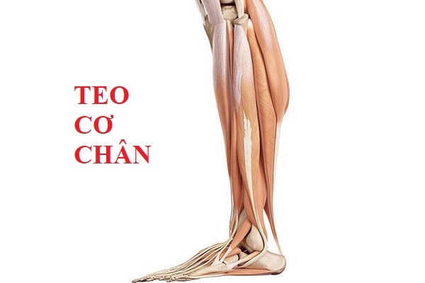 Teo Co Chan (1)