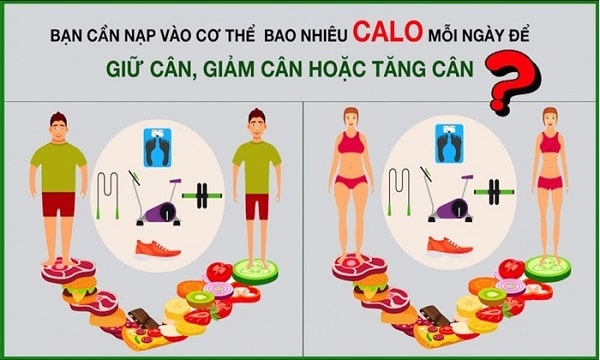 Moi Ngay Nen Dot Chay Bao Nhieu Calo Min