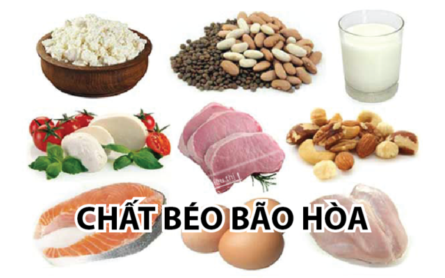 Chat Beo Bao Hoa