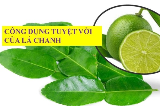 Cong Dung Cua La Chanh Min