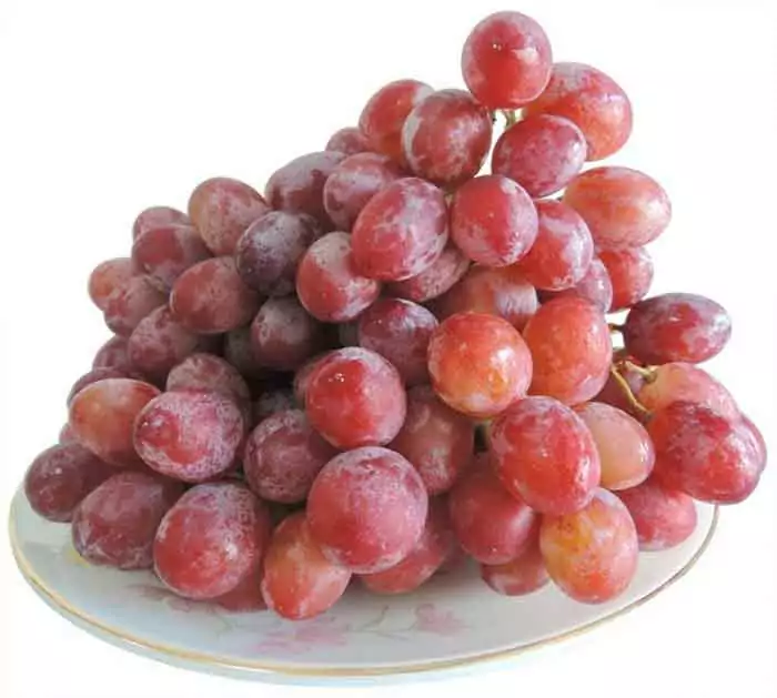 Nho đỏ - tác dụng bảo vệ thận 