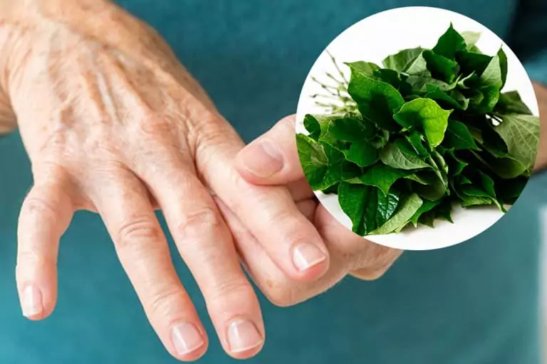 Chua Benh Gout Bang La Lot