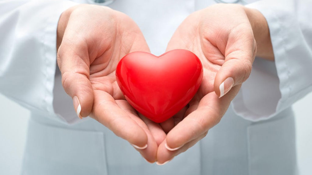 Bảo vệ sức khỏe cho tim mạch - Công dụng của ngô 