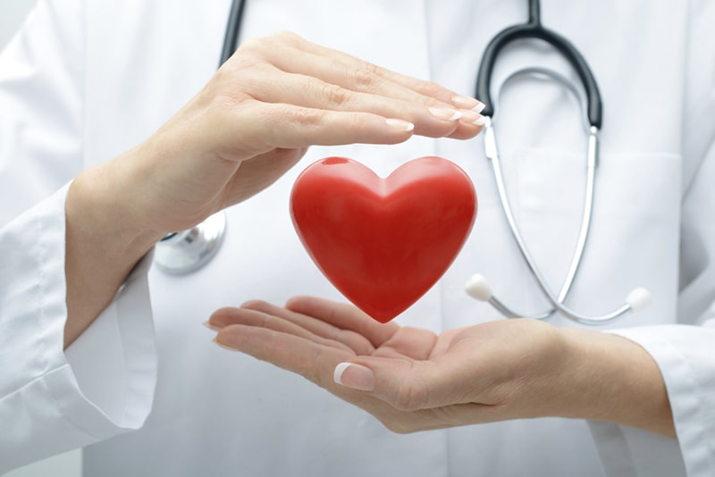 Tác dụng của đậu phộng giúp phòng ngừa các bệnh về tim mạch 