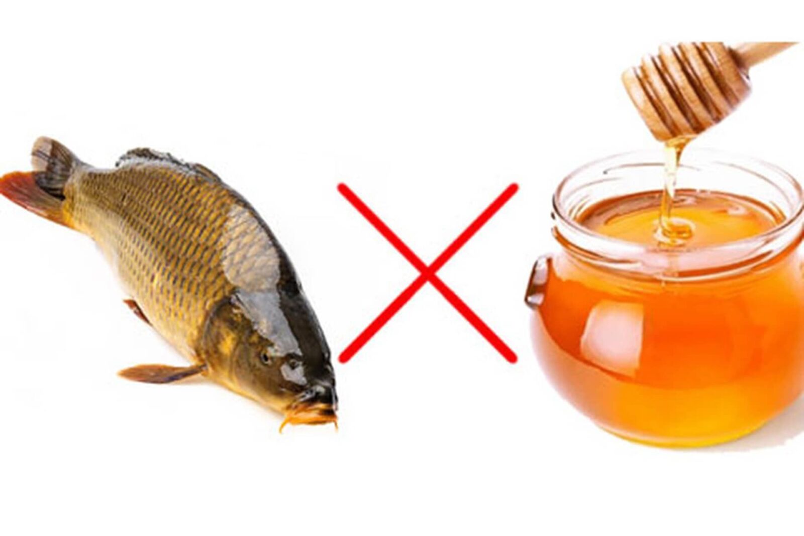 Mật ong kết hợp với cá chép có thể gây trúng độc 