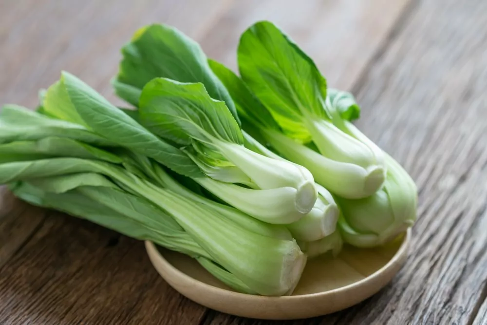 Cải thìa có tác dụng gì? Giúp ngăn ngừa ung thư 