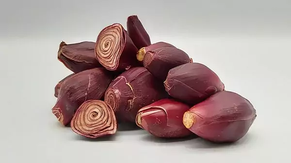 Củ sâm đại hành