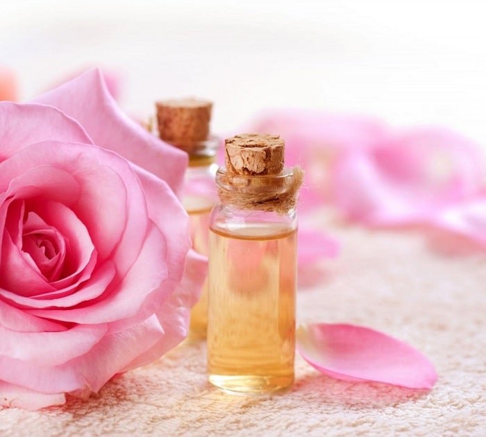 Tinh dầu hoa hồng làm tăng khả năng kháng khuẩn và chống nấm 