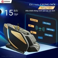 Ghế Massage Okinawa Os 535