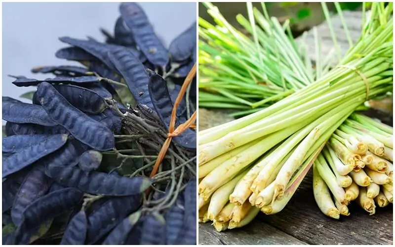 Gội đầu bằng bồ kết và sả