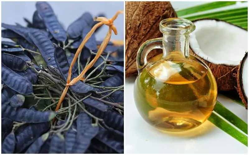 Gội đầu bằng bồ kết và dầu dừa