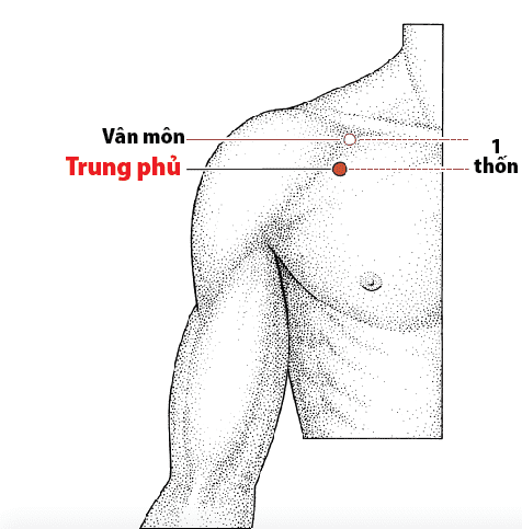 huyệt vân môn