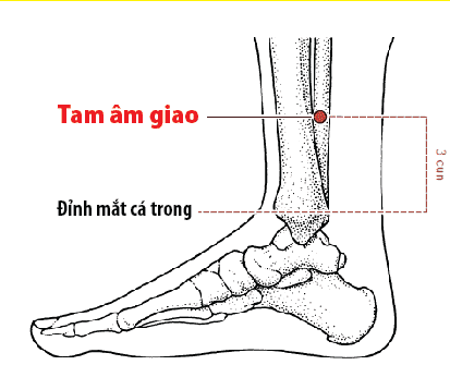 huyệt tam âm giao