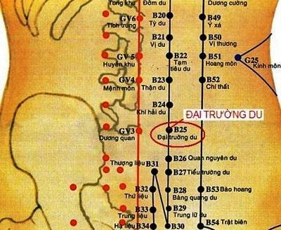 Vị trí huyệt Đại Trường Du