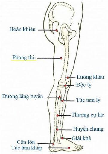 Vị trí huyệt Phong Thị