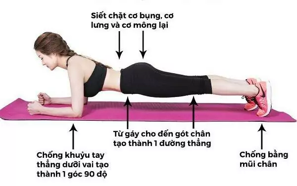 Bài tập giảm mỡ bụng