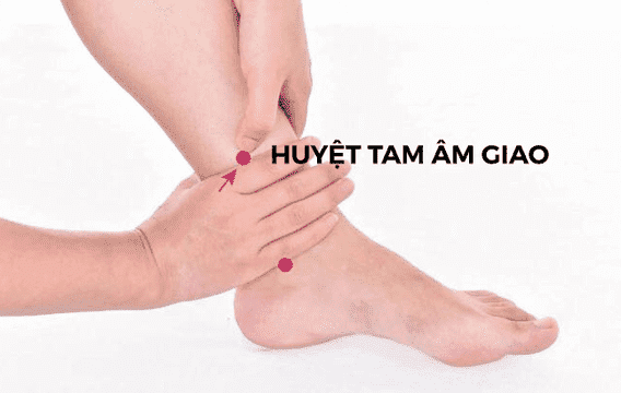 Vị trí của huyệt Tam Âm Giao