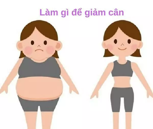 giảm mỡ bụng hiệu quả
