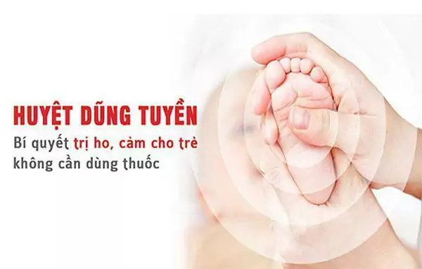 huyet dung tuyen va tac dung tri benh ky dieu 5