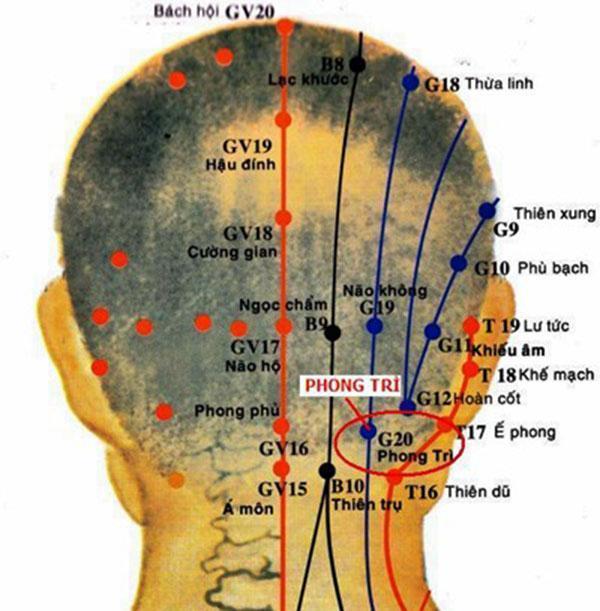 huyet phong tri la gi tac dung tri lieu va cach day huyet nhu the nao 3