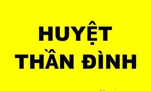 huyet than dinh 2