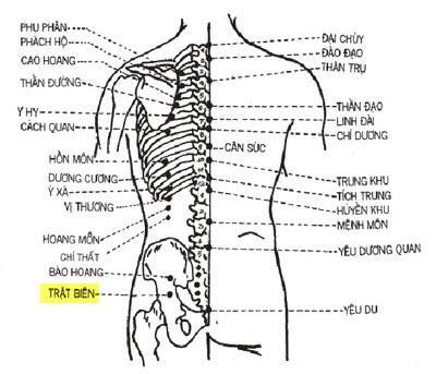 vị trí của huyệt trật biên