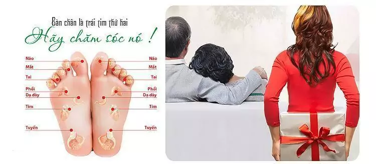 Máy massage chân Ayosun – QUÀ TẶNG đầy ý nghĩa dành cho ba mẹ    