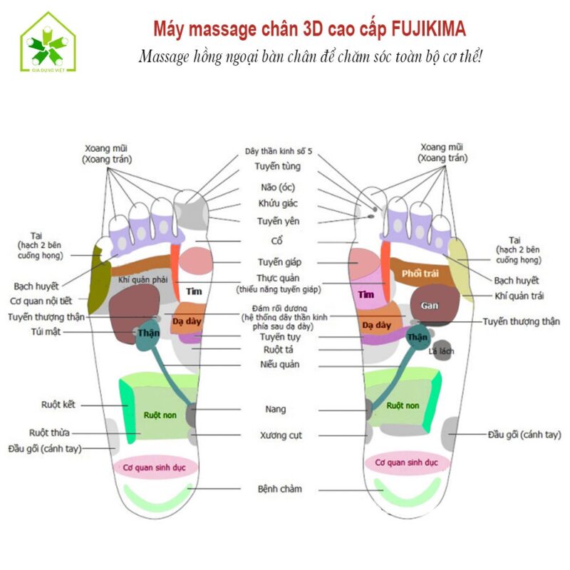 May Massage Chan Fujikima Fj 699k 7