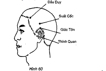 Vị trí huyệt Suất Cốc