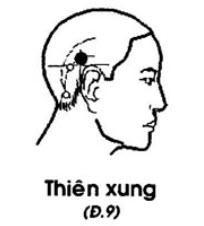 huyệt thiên xung